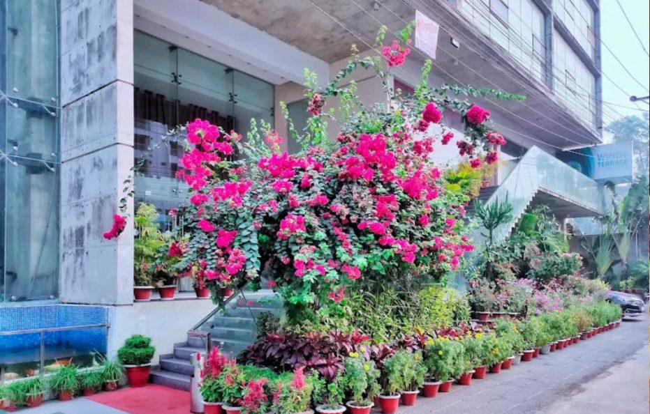 Hotel Windy Terrace